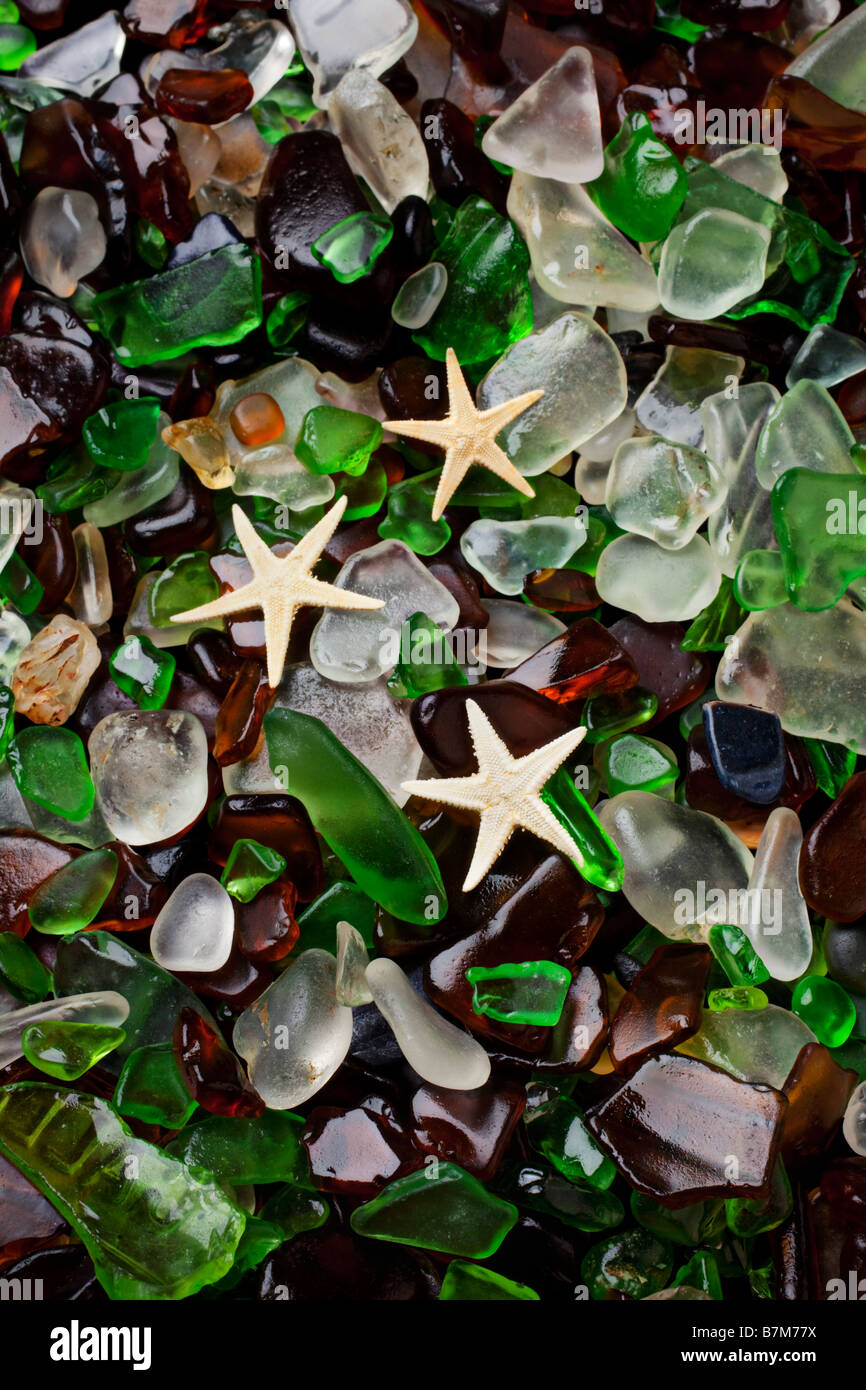Starfish su Ocean indossato il vetro Foto Stock