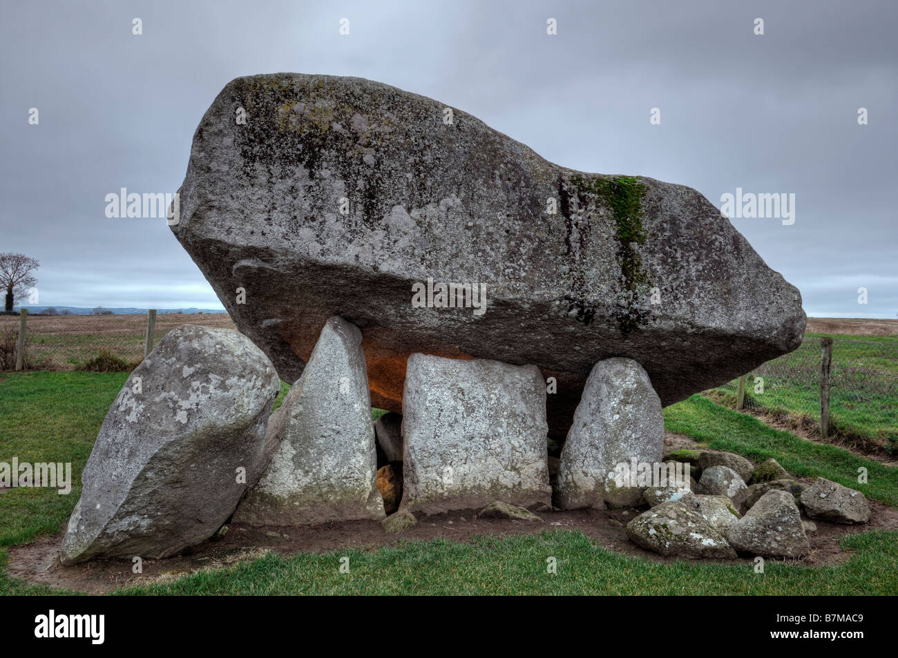 Dolmen Brownshill cromlech megalitico tomba del portale capstone carlow Irlanda Foto Stock