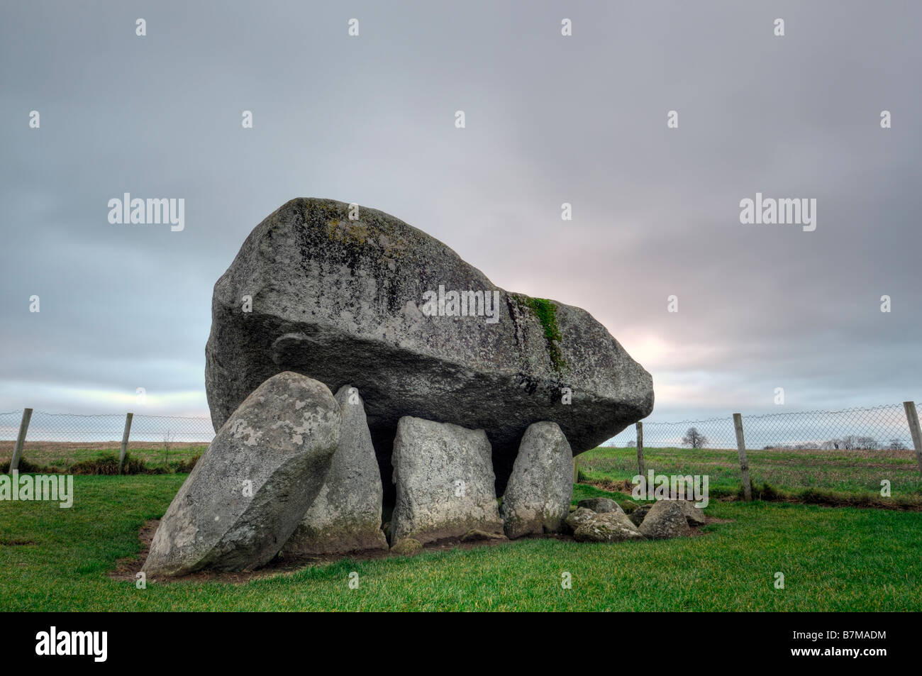 Dolmen Brownshill cromlech megalitico tomba del portale capstone carlow Irlanda Foto Stock