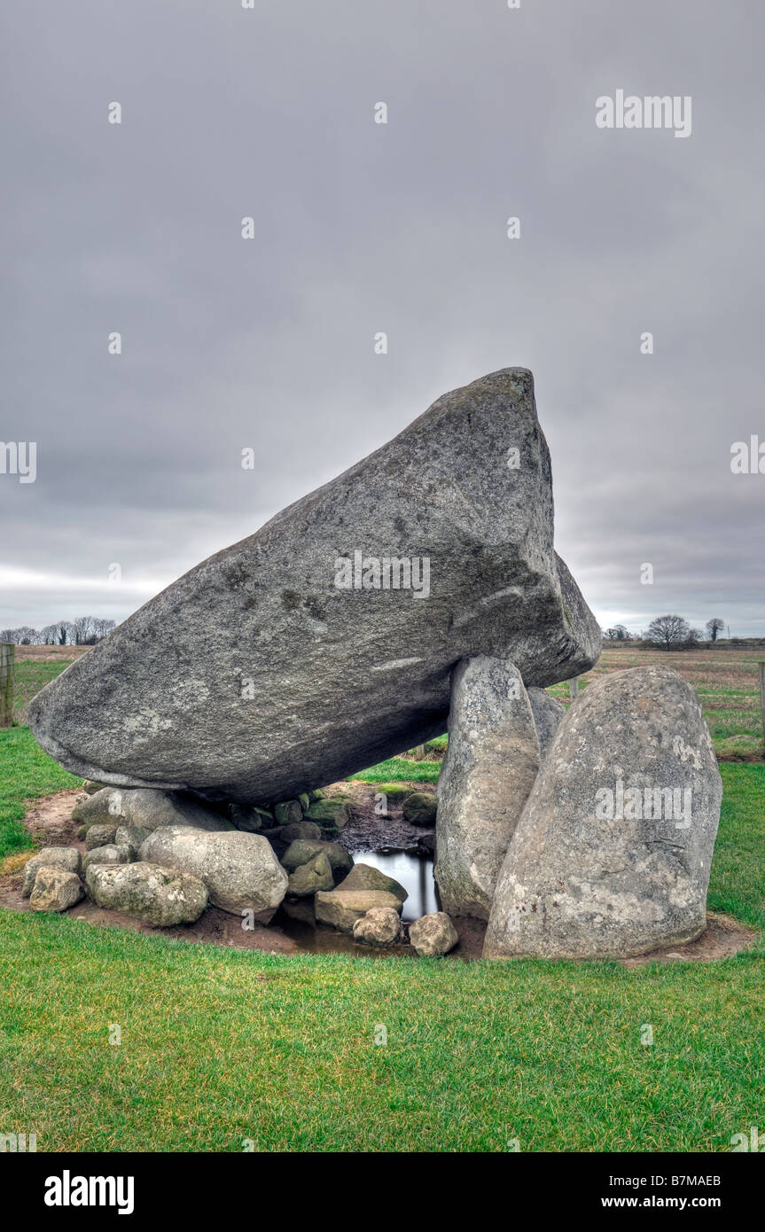 Dolmen Brownshill cromlech megalitico tomba del portale capstone carlow Irlanda Foto Stock