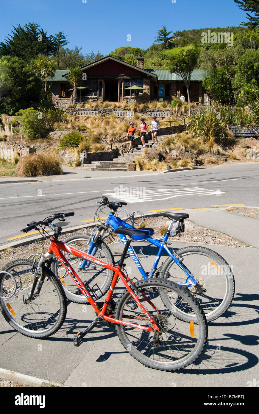 Mountain bikes e Resthouse Cafe in cima, segno del Kiwi, Port Hills, Christchurch, Canterbury, Nuova Zelanda Foto Stock