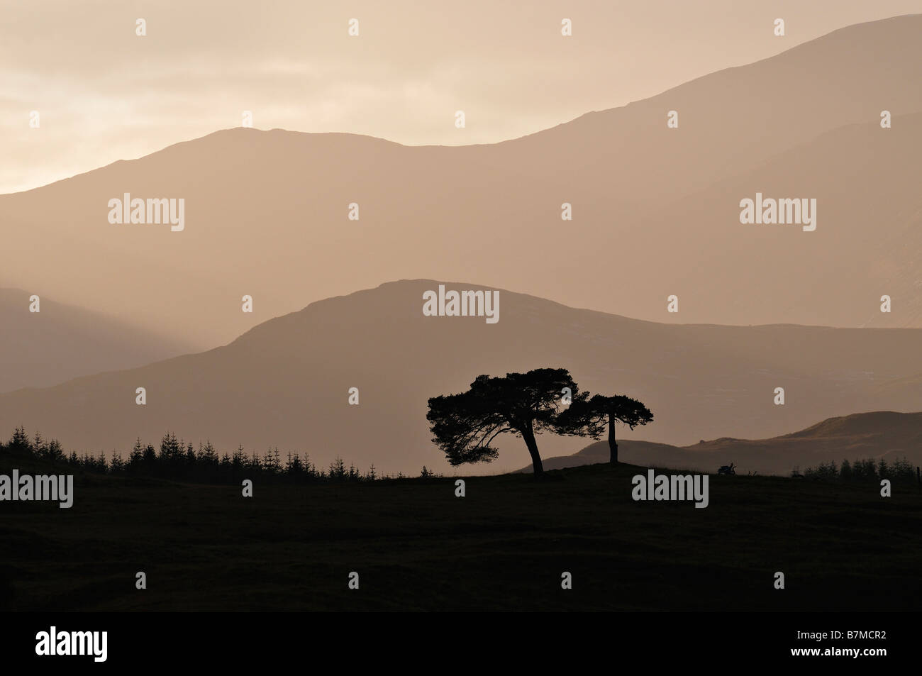 Alberi retroilluminato e crinali di collina intorno al bordo occidentale di Rannoch Moor Highlands scozzesi UK Foto Stock