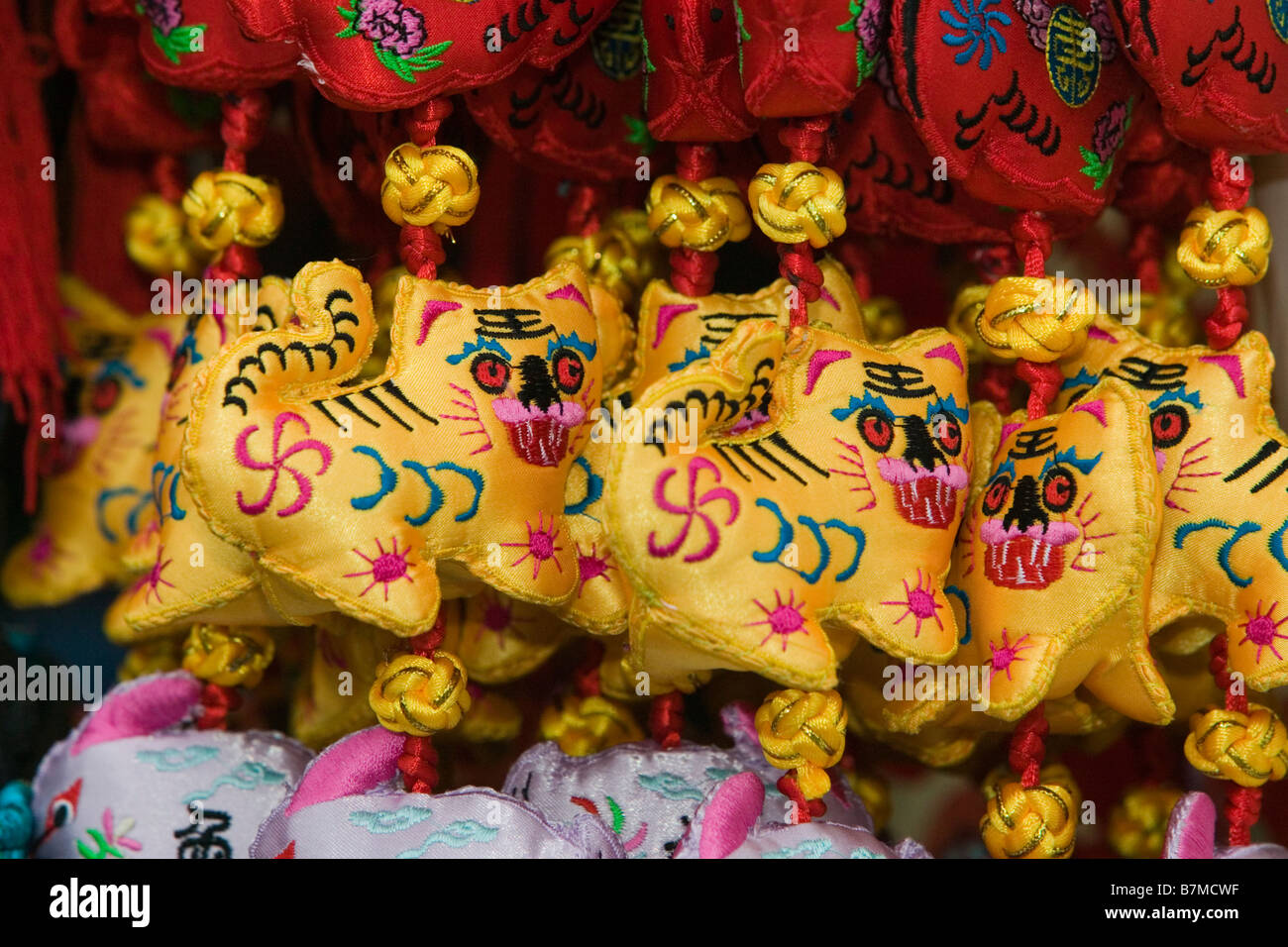 Anno della Tigre - Oroscopo Cinese Foto Stock