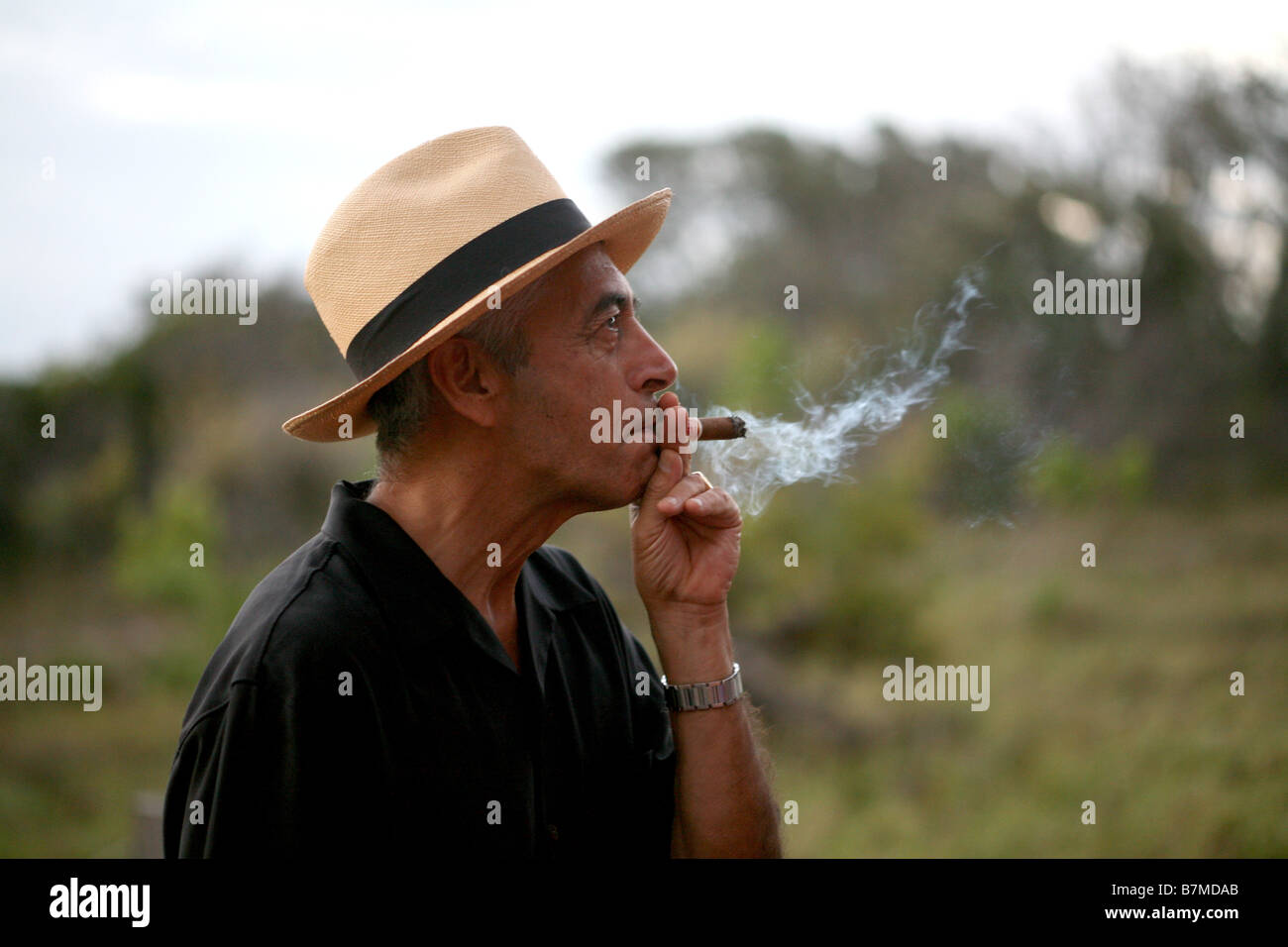Un uomo in un cappello di Panama fuma un sigaro cubano Foto Stock