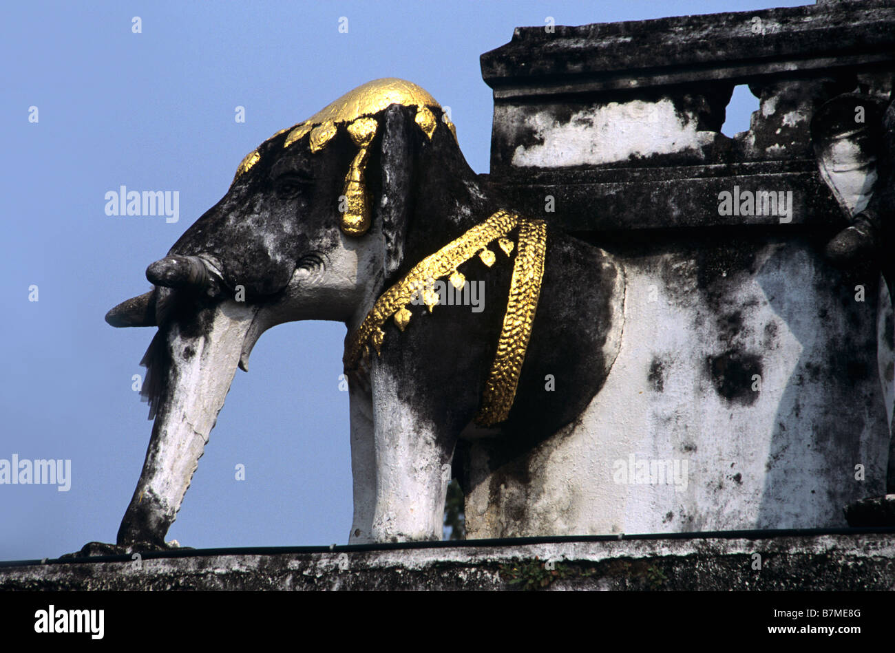 Pietra scolpita Elephant con collare in oro, Chedi del Wat Chang Kham tempio buddista, Nan, Thailandia Foto Stock
