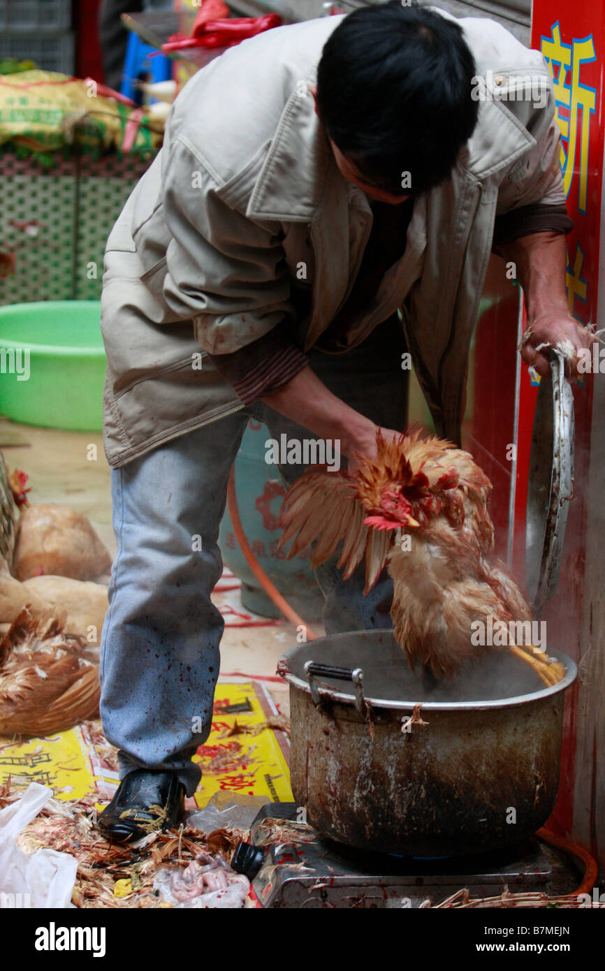 Non regolamentata vende contadina uninspected pollame nella strada del mercato come cresce il bilancio delle vittime da H5N1bir virus influenzale in Cina dopo aver sli Foto Stock