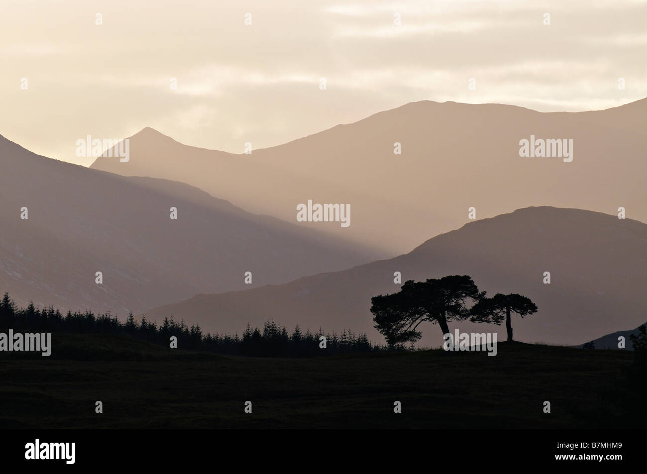 Alberi retroilluminato e crinali di collina intorno al bordo occidentale di Rannoch Moor Highlands scozzesi UK Foto Stock