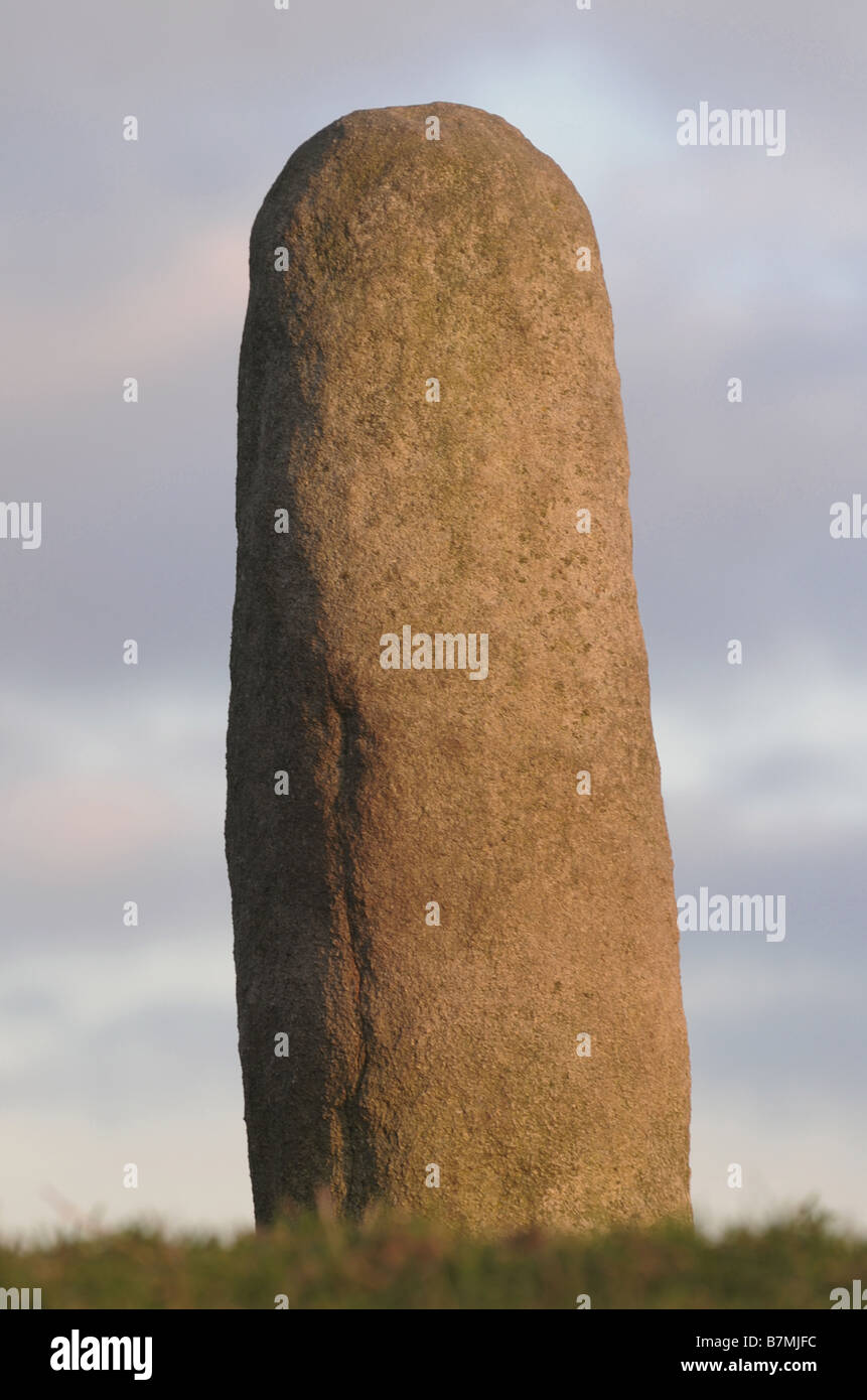 Lia Fail pene di pietra Collina di Tara County Meath. In Irlanda il più ovvio preistorici simbolo fallico Foto Stock