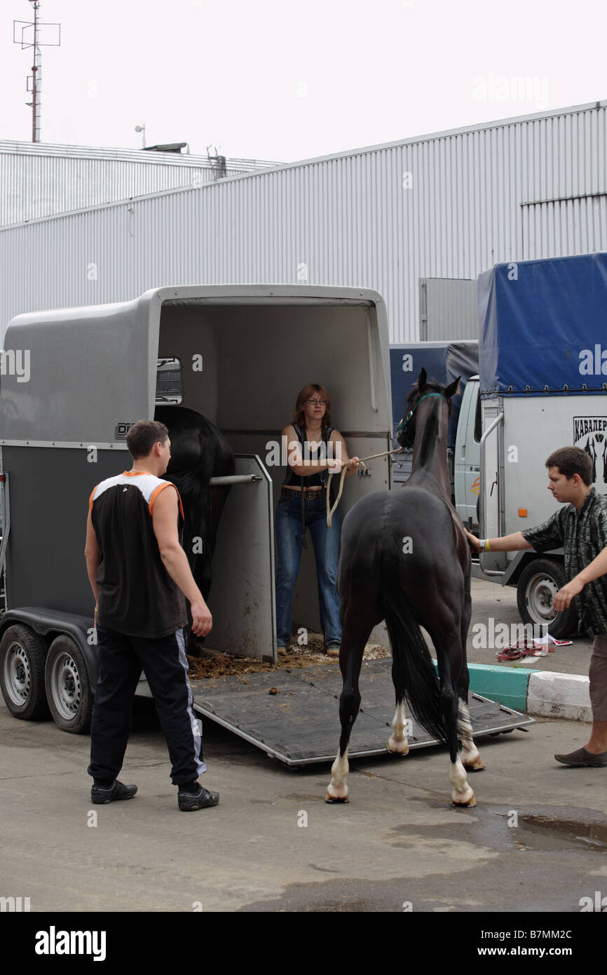 I popoli di aiuto per ottenere il loro cavallo nel trailer Foto Stock