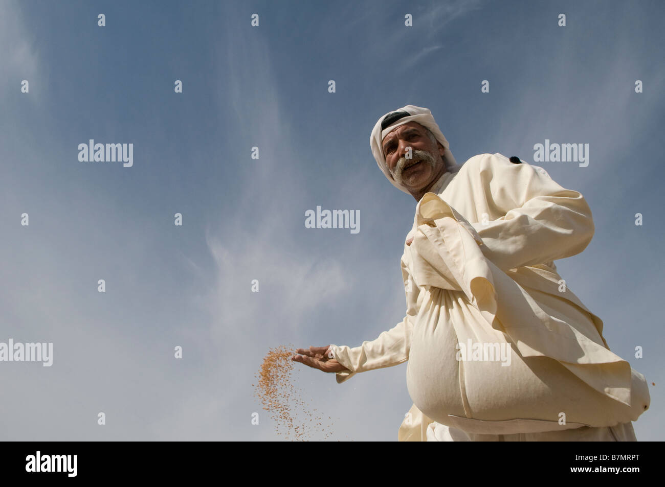 Un arabo israeliano agricoltore diffondere semi a mano nel campo nel deserto del Negev Israele sud Foto Stock