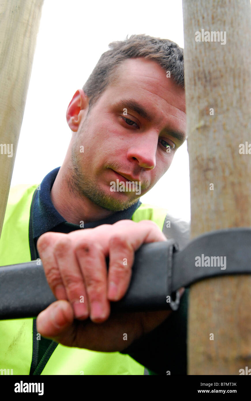 Paesaggio giardiniere mettendo tocchi di rifinitura per la piantagione di alberi per autorità locali il cui scopo è di impianto 1000 alberi in borough Foto Stock
