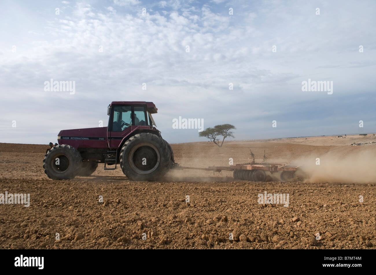 Israeliano arabo beduino lavorando nel campo con un trattore agricolo. Deserto di Negev Israele Foto Stock