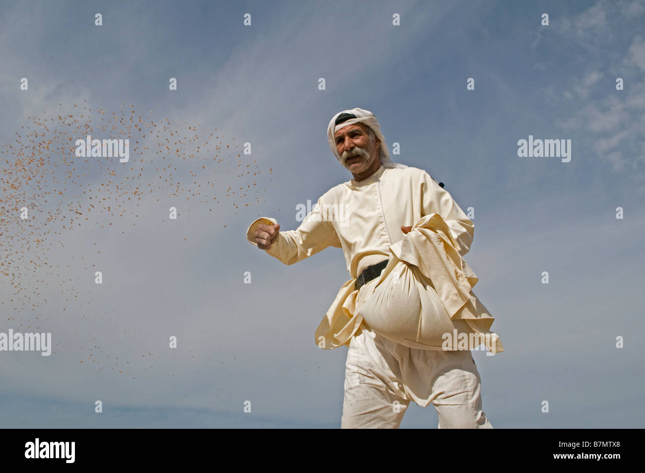 Un arabo israeliano agricoltore diffondere semi a mano nel campo nel deserto del Negev Israele sud Foto Stock