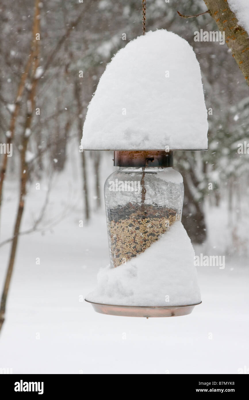 Bird Feeder coperte di neve nel Connecticut USA Foto Stock