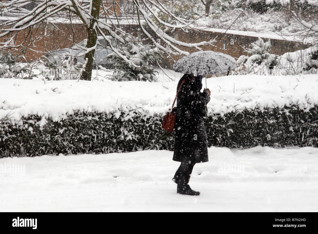 Uomo con ombrello a piedi nella neve pesante a Watford Hertfordshire Inghilterra Foto Stock