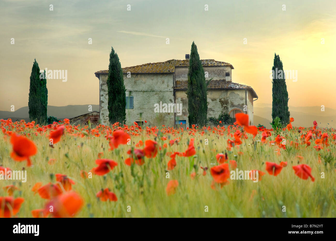 Il paesaggio toscano, con campo di papavero, Chianti, Italia Foto Stock