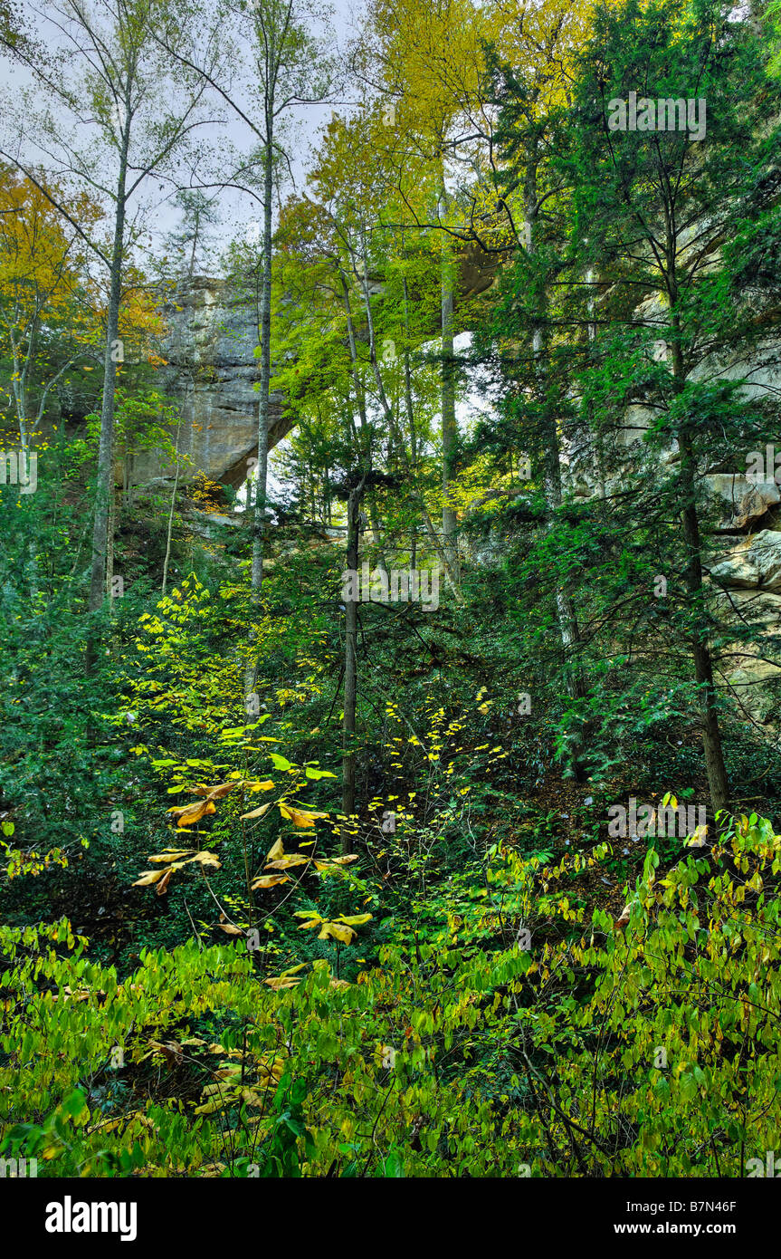 Vista del grigio s arco in Red River Gorge Area geologica Kentucky Foto Stock