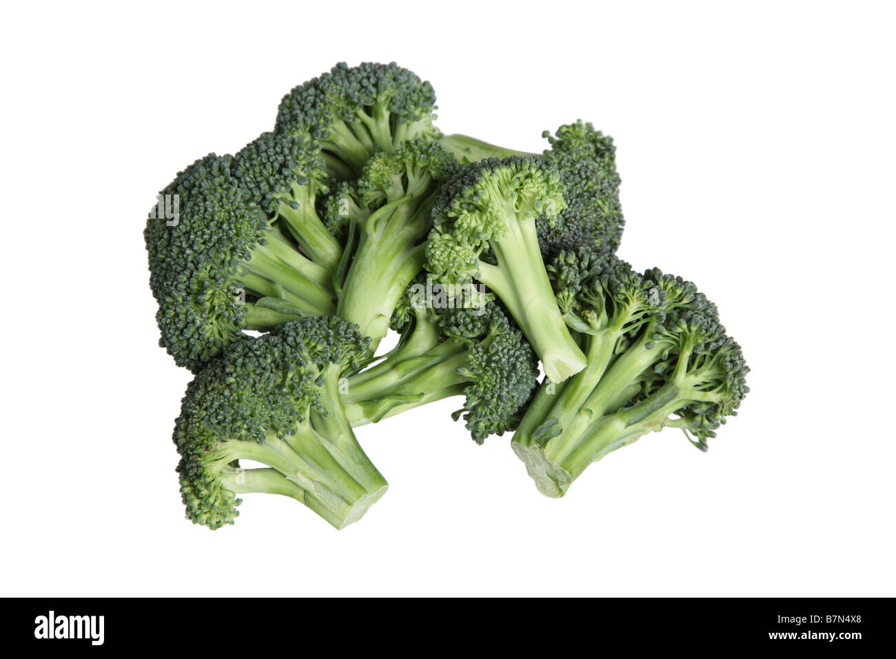 Broccoli ritagliata su sfondo bianco Foto Stock