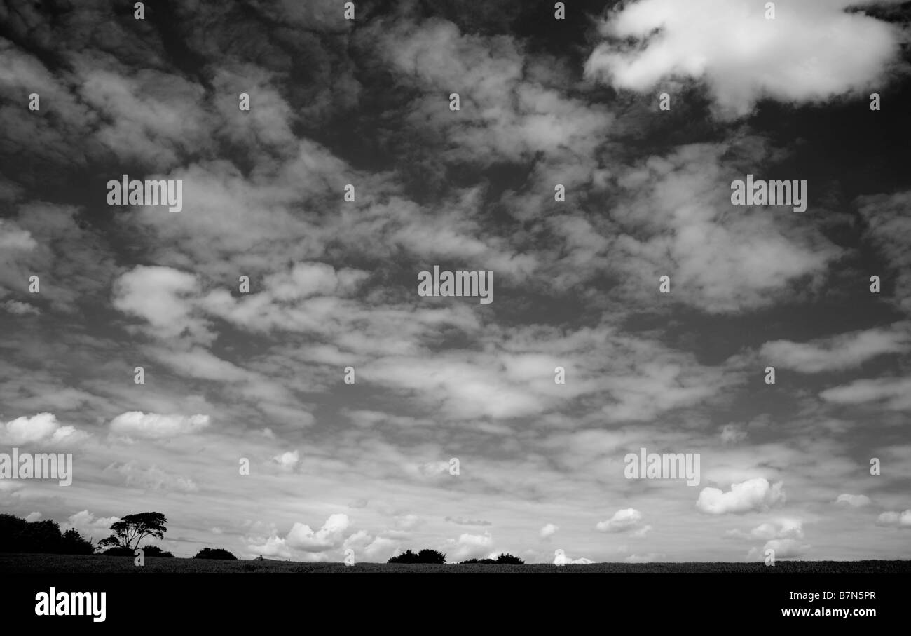 Le nuvole alte visto contro un cielo estivo nel paesaggio rurale a Looe, Cornwall. Foto Stock