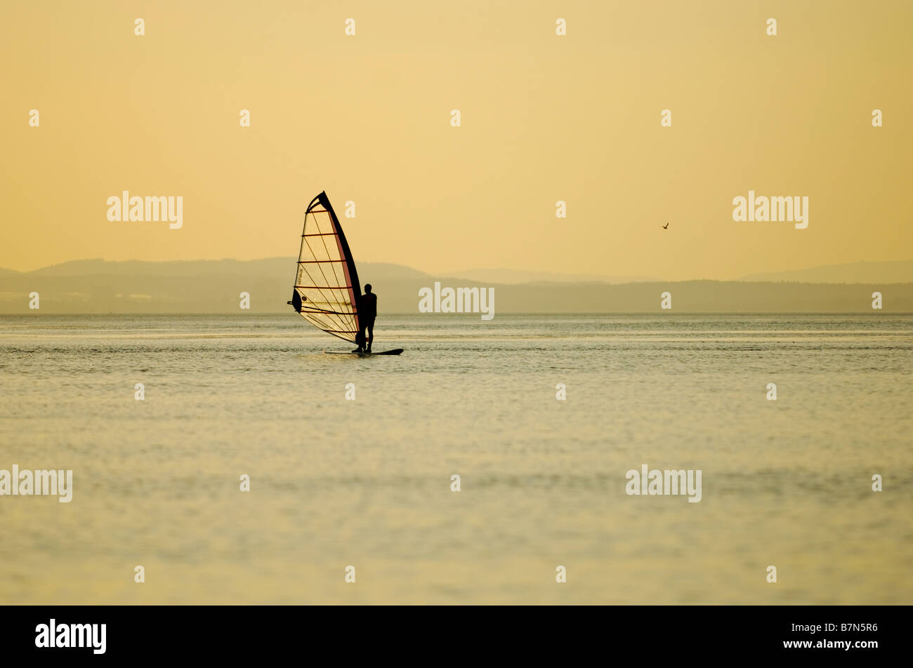 Wind Surfer Lago Bodensee Langenargen Germania meridionale Foto Stock