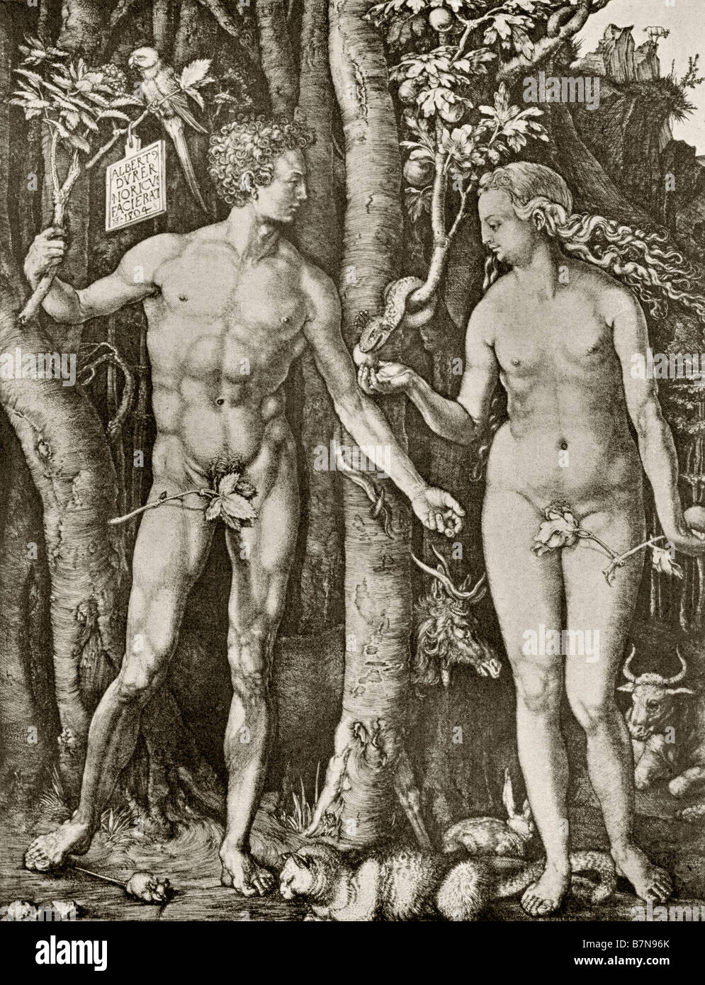 Adamo ed Eva. Dall'incisione di linea di Albrecht Durer, 1504. Foto Stock