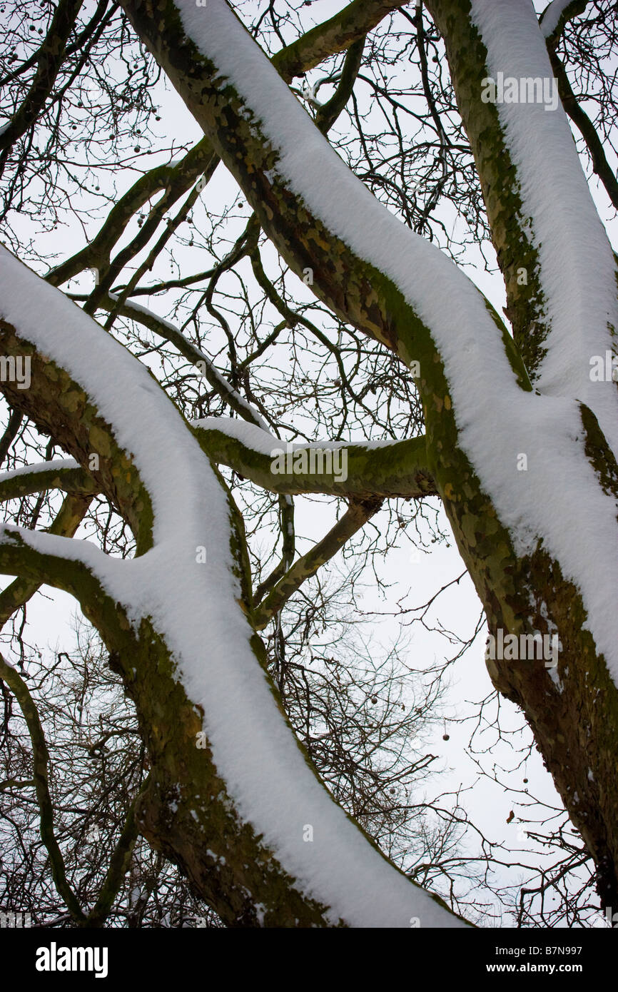 La neve cade in London Regno Unito Foto Stock