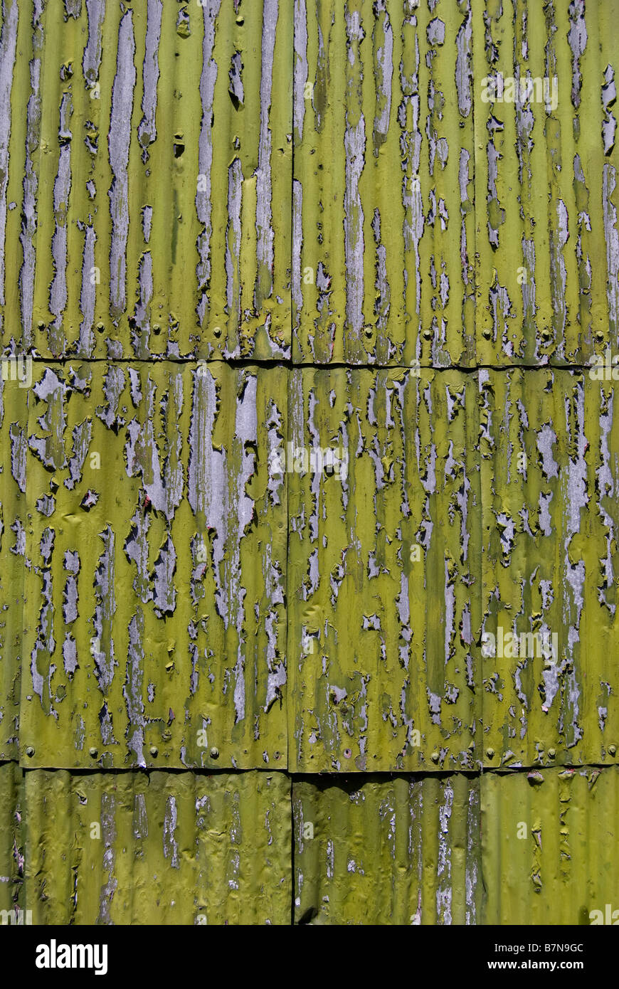 Ferro corrugato capannone con peeling vernice, piccolo fiume, Penisola di Banks, Canterbury, Nuova Zelanda Foto Stock
