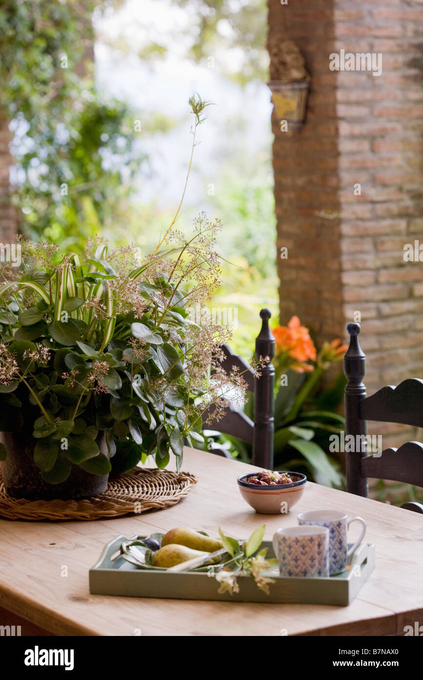Close up houseplants verde e il vassoio con tazze sul tavolo di legno Foto Stock
