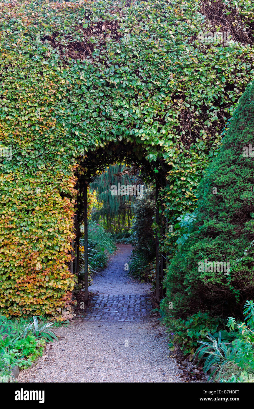 Il percorso che conduce verso attraverso arcuata di archway apertura ingresso siepe di faggio perfettamente agganciato garden includono Foto Stock