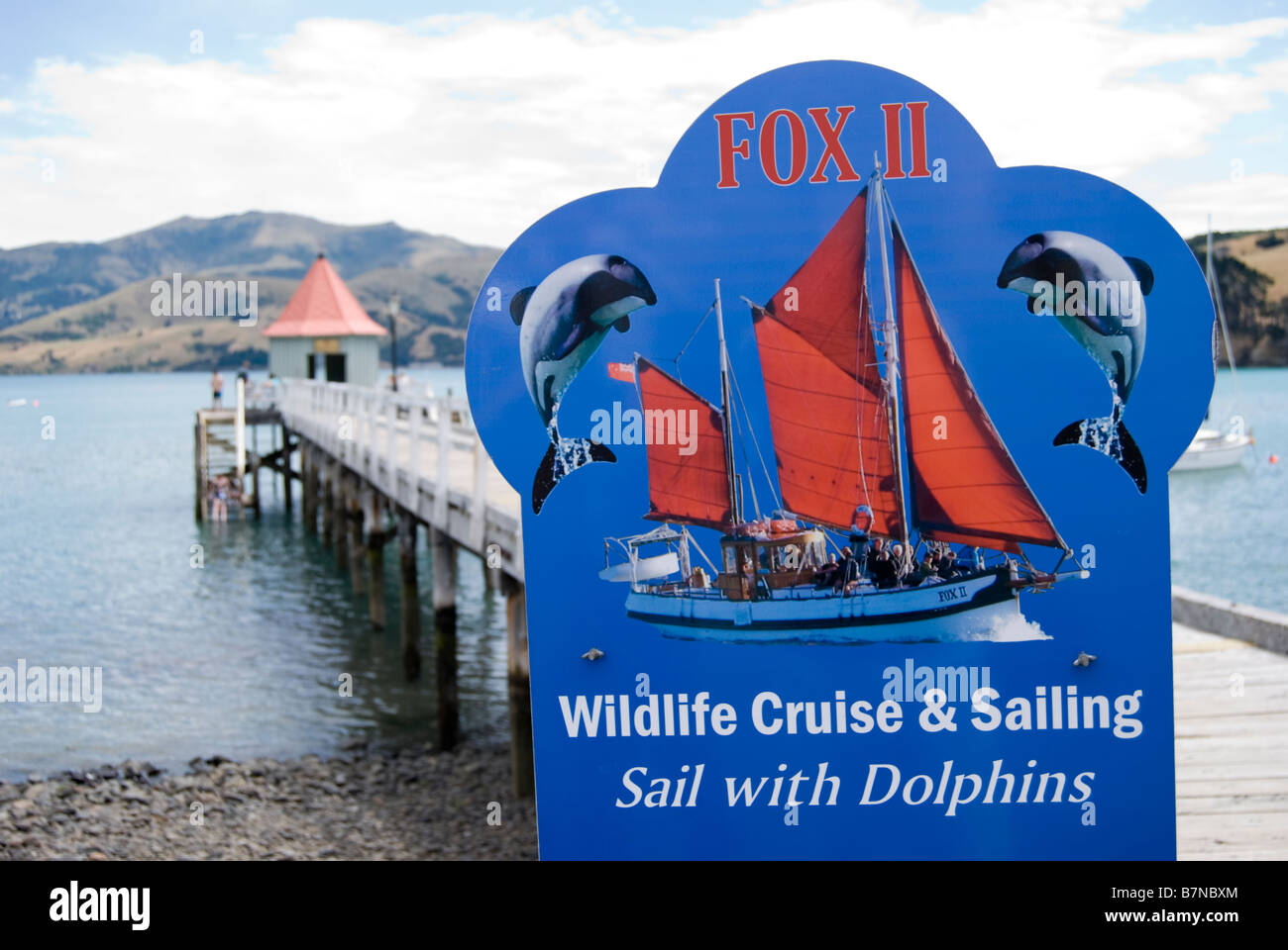 Fox II Crociera di osservazione dei delfini segno, Dalys Wharf, Francese Bay, Akaroa, Penisola di Banks, Canterbury, Nuova Zelanda Foto Stock