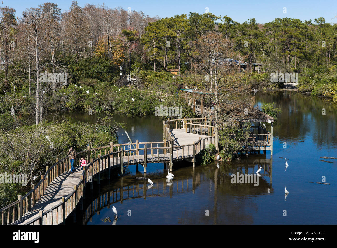 Gatorland, Orange Blossom Trail, Orlando, Florida, Stati Uniti d'America Foto Stock