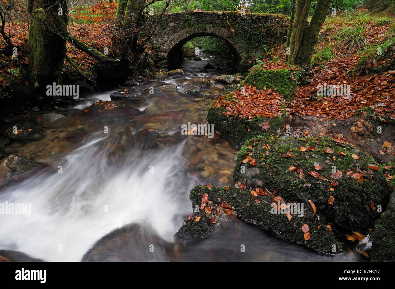 Ponte di pietra sul torrente marrone autunno lascia cadere foglie autunnali olc rustico scenic picteresque Inistioge Contea di Kilkenny Irlanda Foto Stock