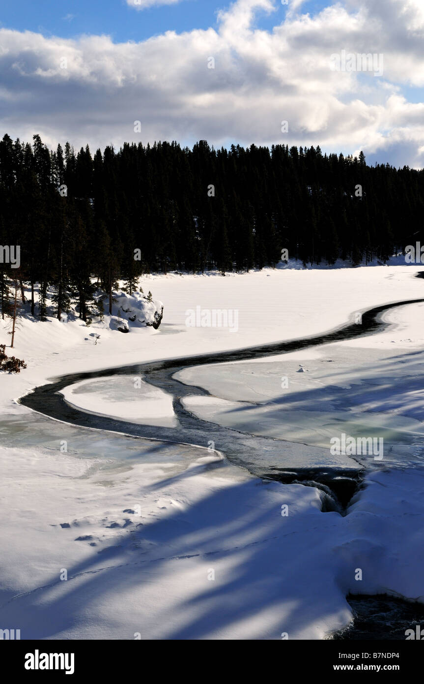 Fiume in inverno. Paesaggio invernale. Il Parco Nazionale di Yellowstone, Wyoming negli Stati Uniti. Foto Stock