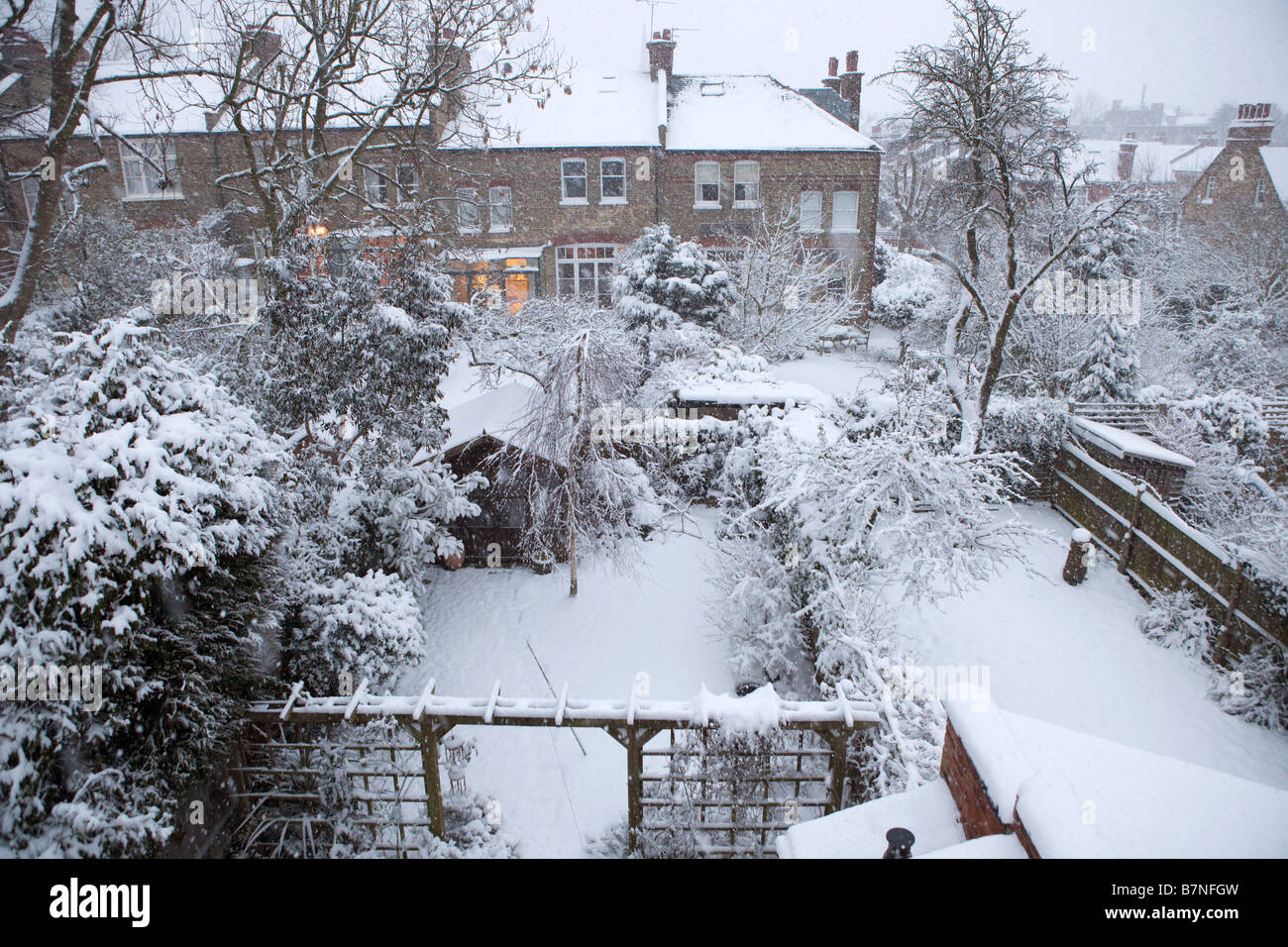 Vista dei giardini suburbana coperto di neve il 2 febbraio 2009 il più pesante la neve cade a Londra per 18 anni Foto Stock