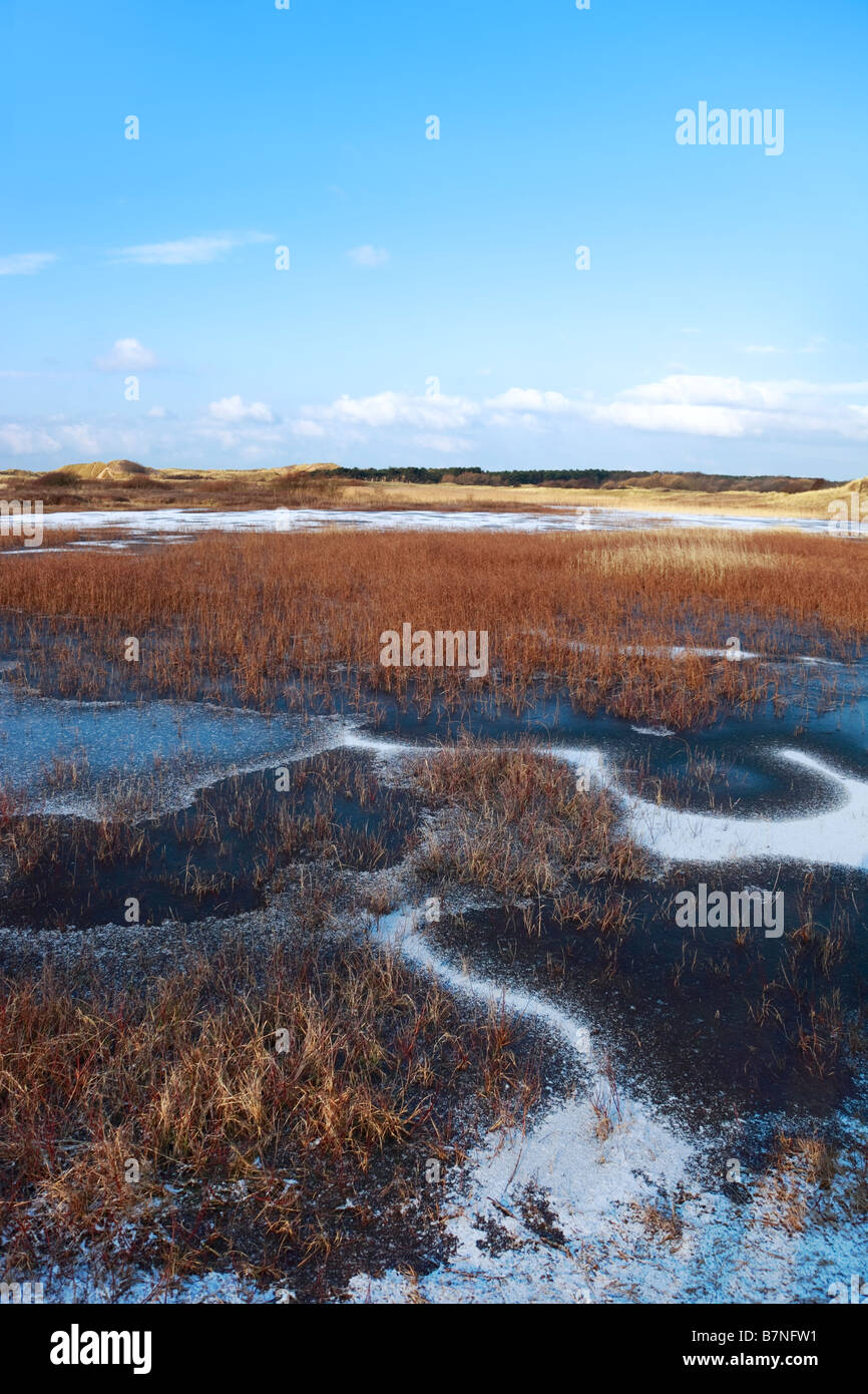 Cabin Hill Riserva Naturale Nazionale NNR in inverno Foto Stock