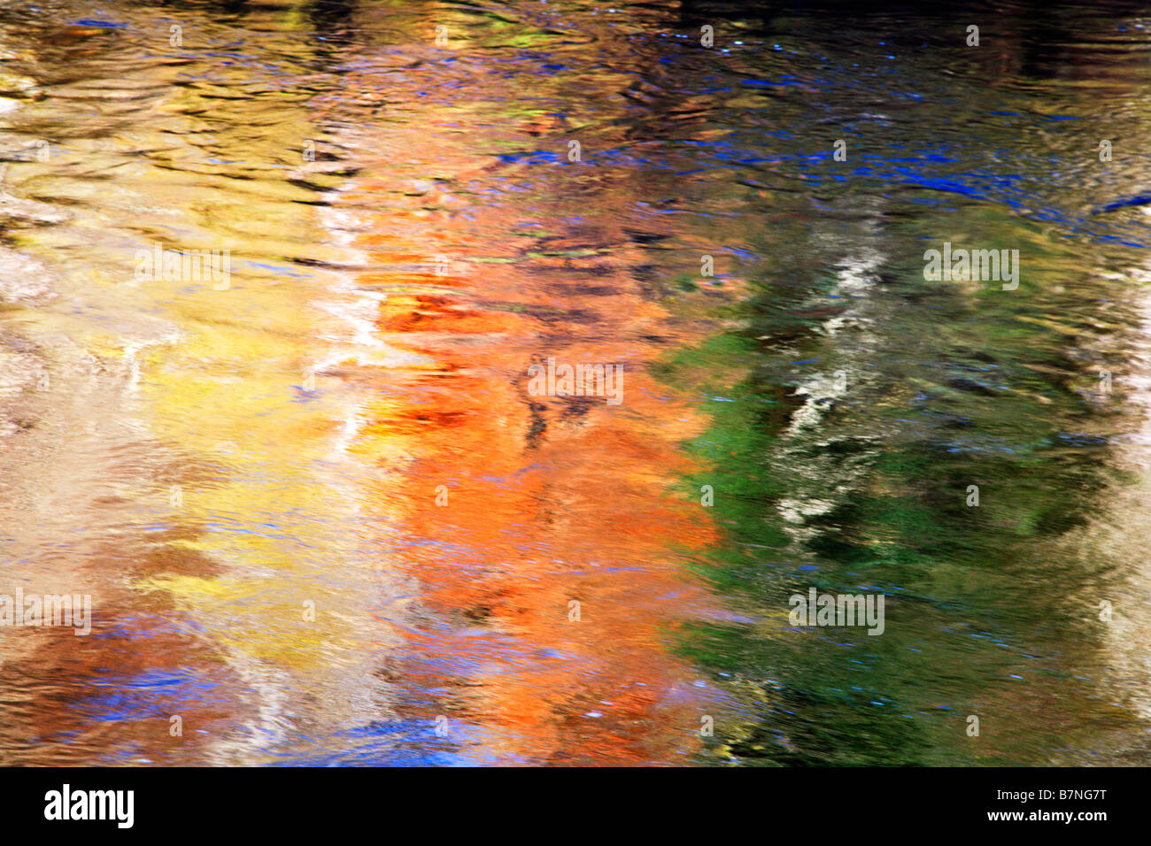 Autunno riflessi nella Wharfe 'hotel Astrid legno Wharfedale Yorkshire Inghilterra Foto Stock
