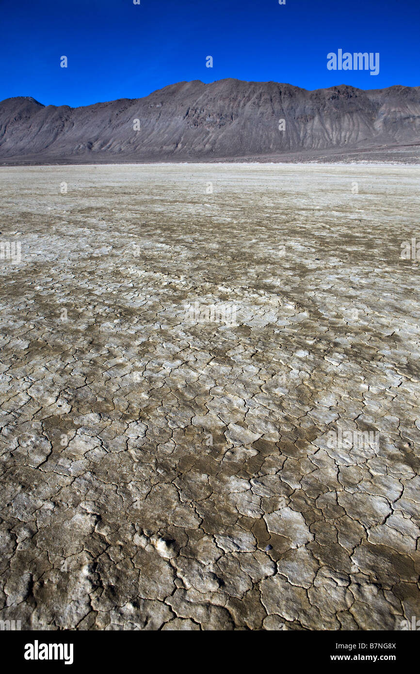 È incrinata e fango essiccato della playa un lago essiccato letto rivolto verso le montagne di Calico Black Rock Desert Gerlach Nevada Foto Stock