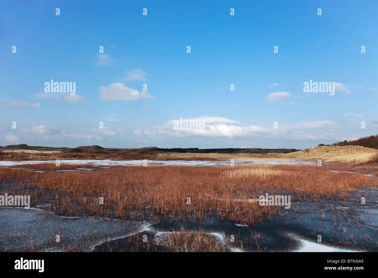 Cabin Hill Riserva Naturale Nazionale NNR in inverno Foto Stock