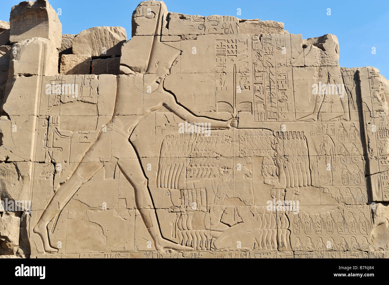 Ramses II, smiting prigionieri, Tempio di Karnak Luxor Egitto 081116 32569 Foto Stock