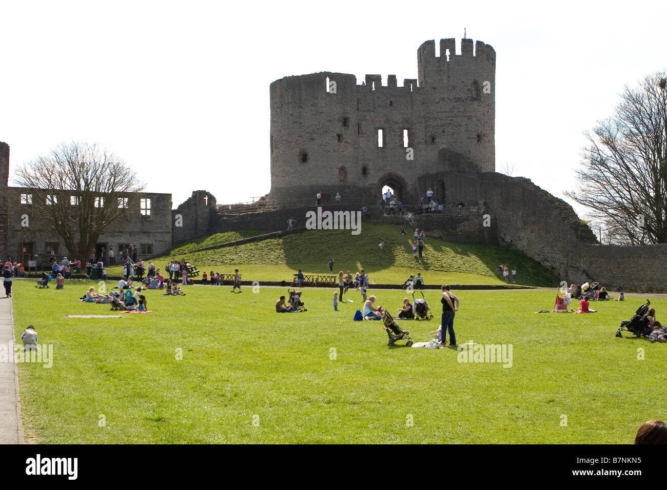 Il Castello di Dudley in altezza dell'estate Foto Stock