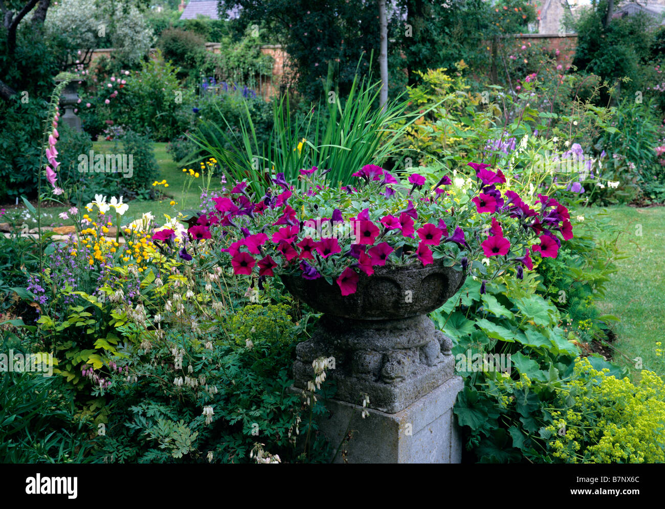 Urna di pietra piantati con Petunia onda viola seduti in un confine misti Foto Stock