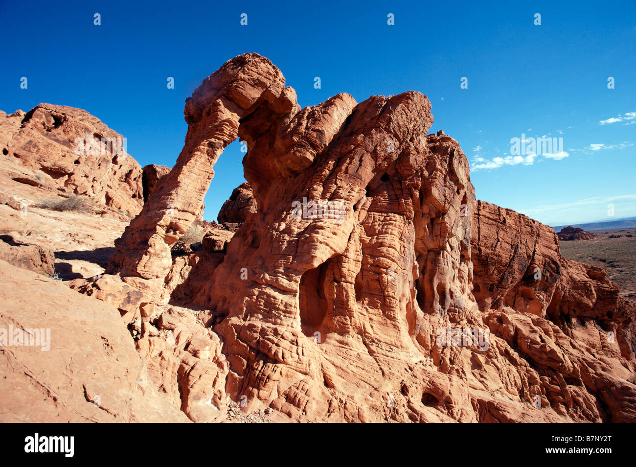 La Valle del Fuoco stato parco vicino a Las Vegas, Elephant Rock Foto Stock