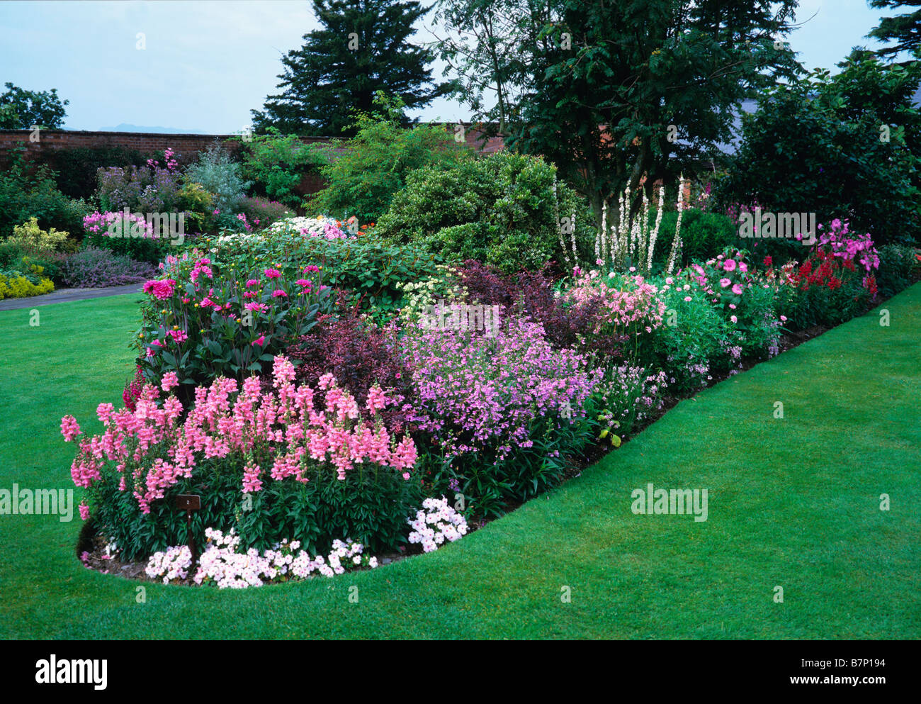 Una coloratissima isola rosa letto di fiori a Holehird Gardens Foto Stock
