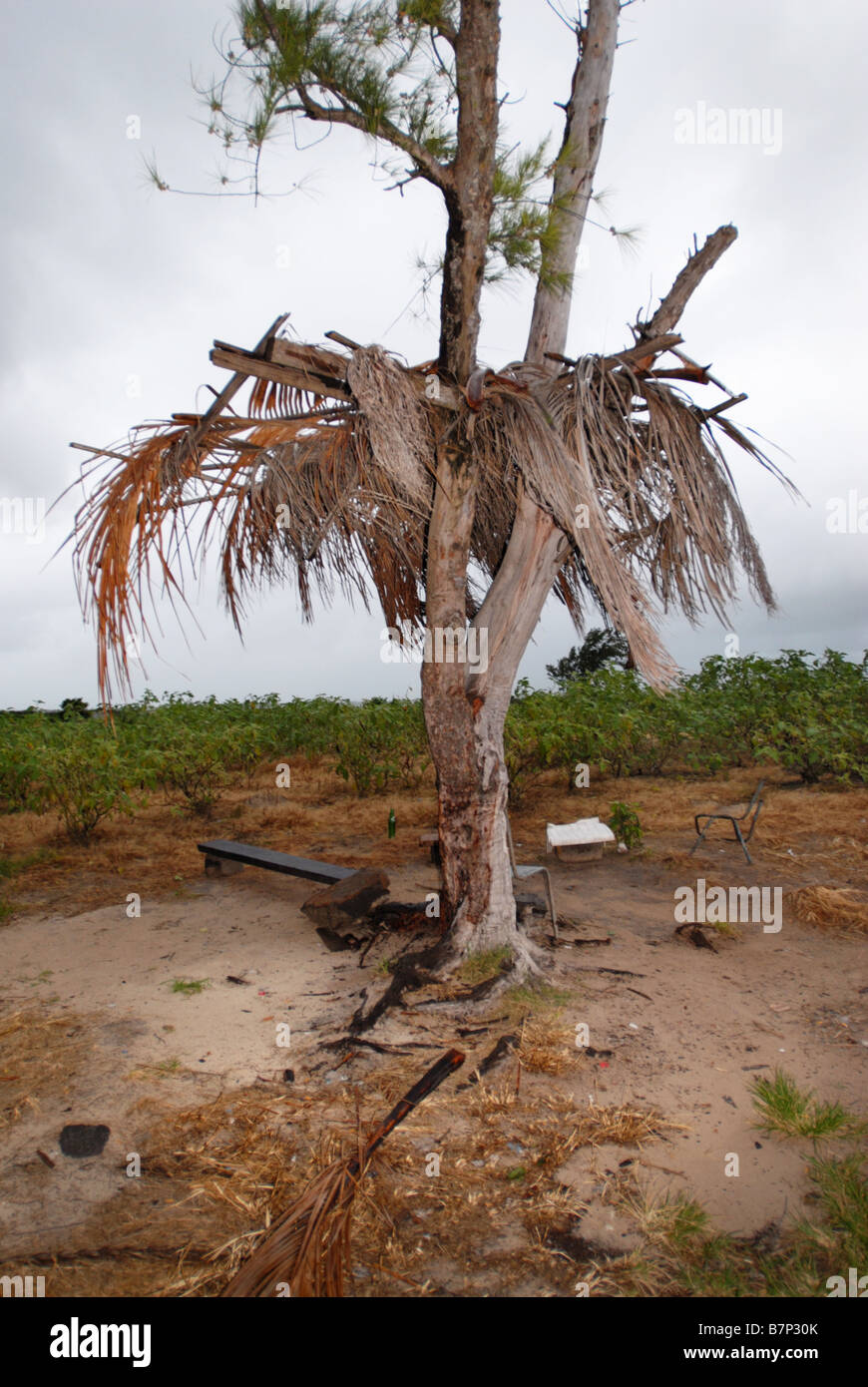 Sun shelter in un campo in Mauritius Foto Stock