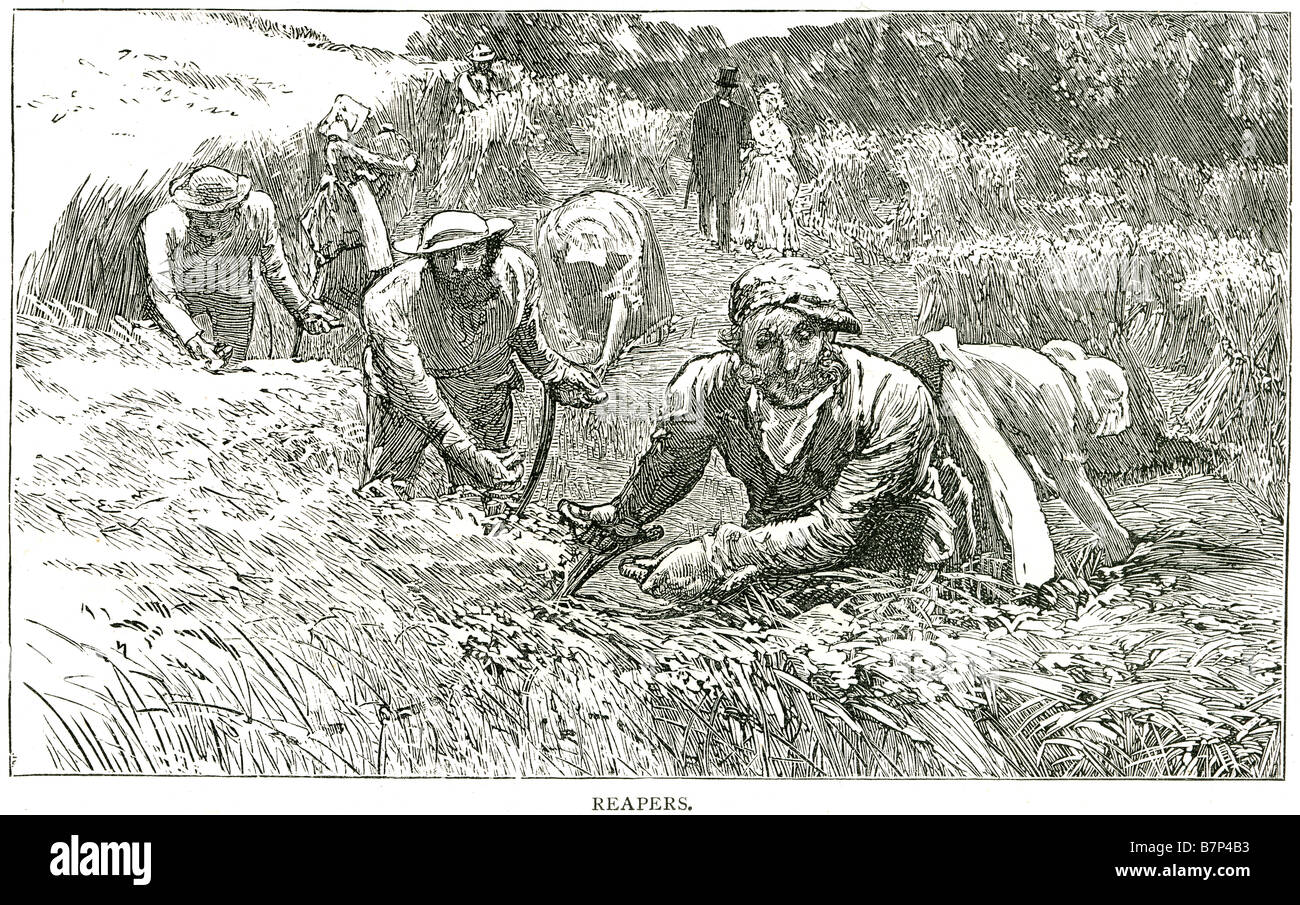 Mietitori falce agricoltore agricoltura raccolto paglia del lavoro job lavoro raccogliendo a mano viene eseguita mediante vari mezzi, inclusa la spennatura le orecchie di g Foto Stock