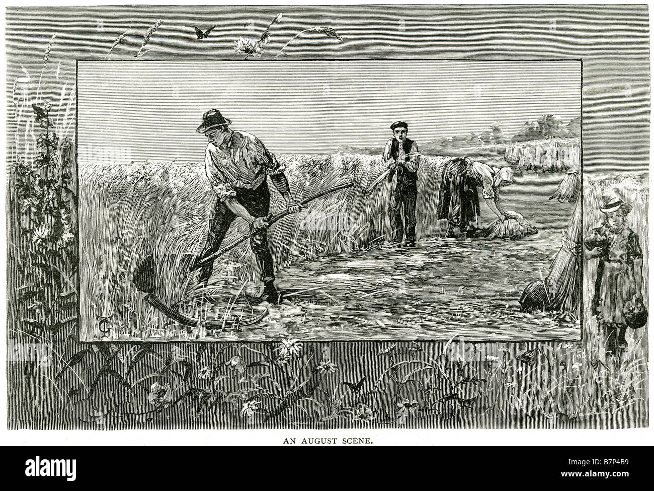 Agosto scena falce imprenditore agricolo raccolto del lavoro lavoro lavoro estate autunno al di fuori del paese di lavoro laterale funzionante Foto Stock