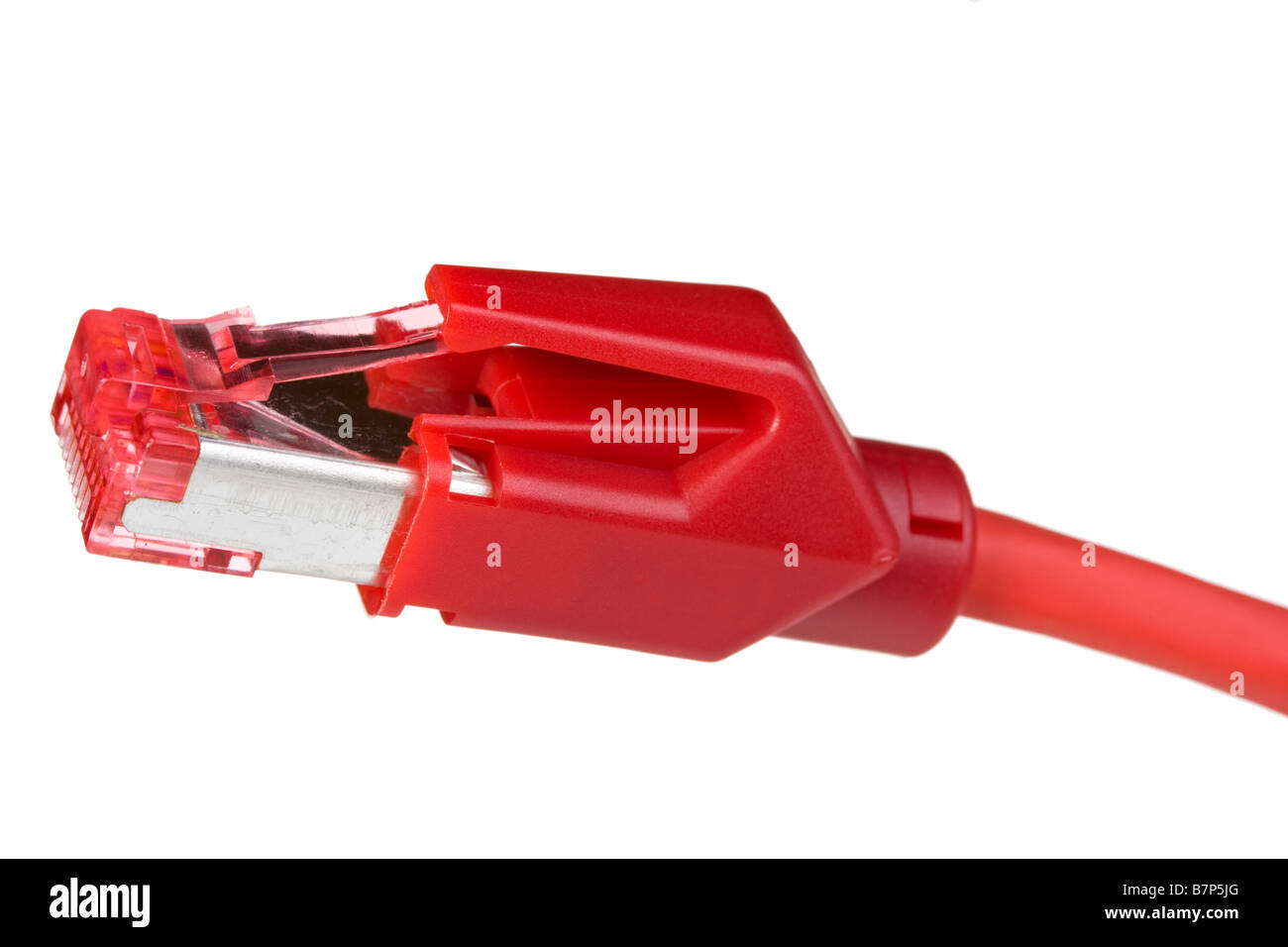 Dettaglio di una rete di computer il connettore isolato su sfondo bianco Foto Stock