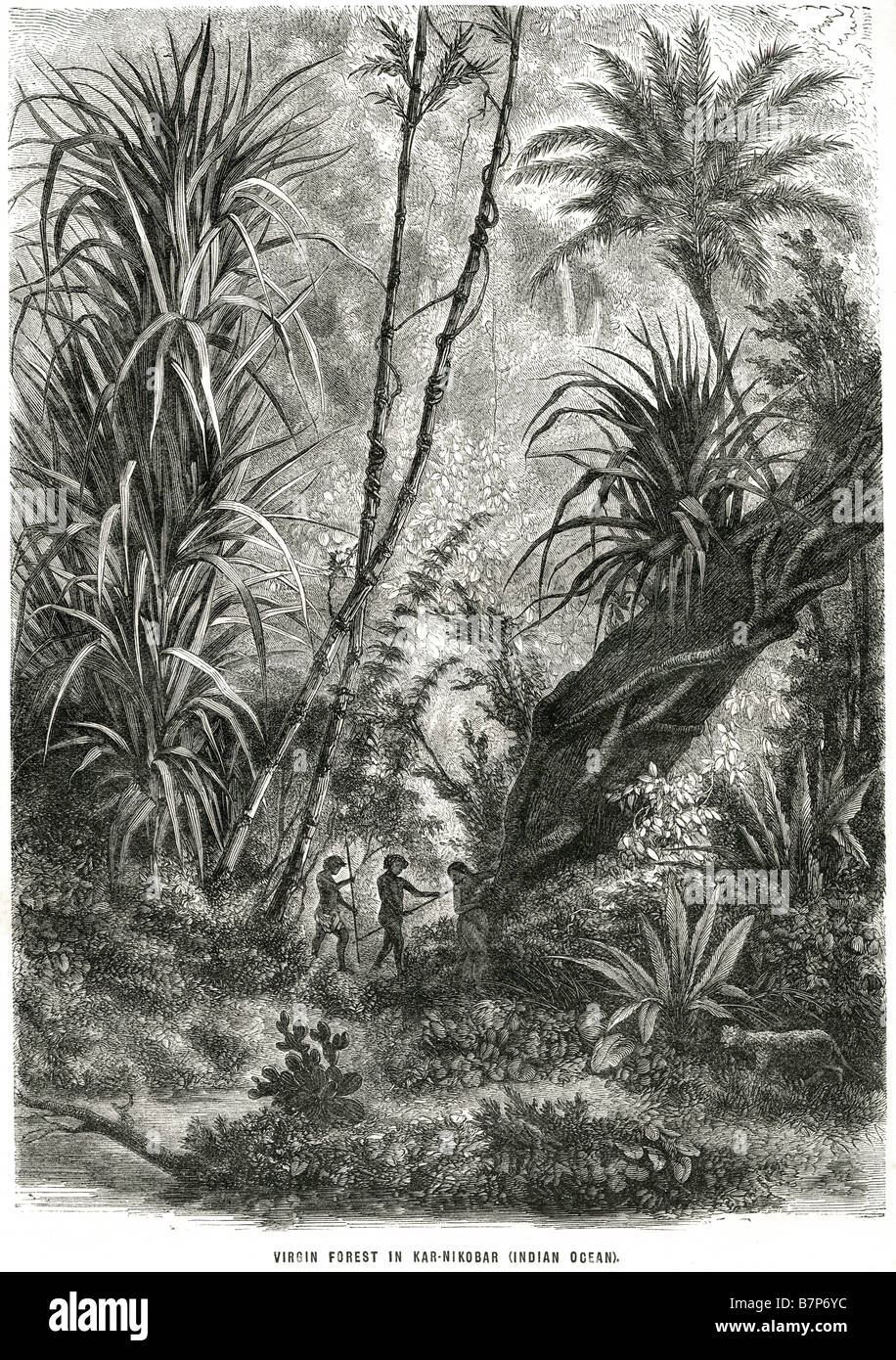 La foresta vergine Kan-nikoba oceano Indiano giungla tropicale caccia nativo lancia Foto Stock