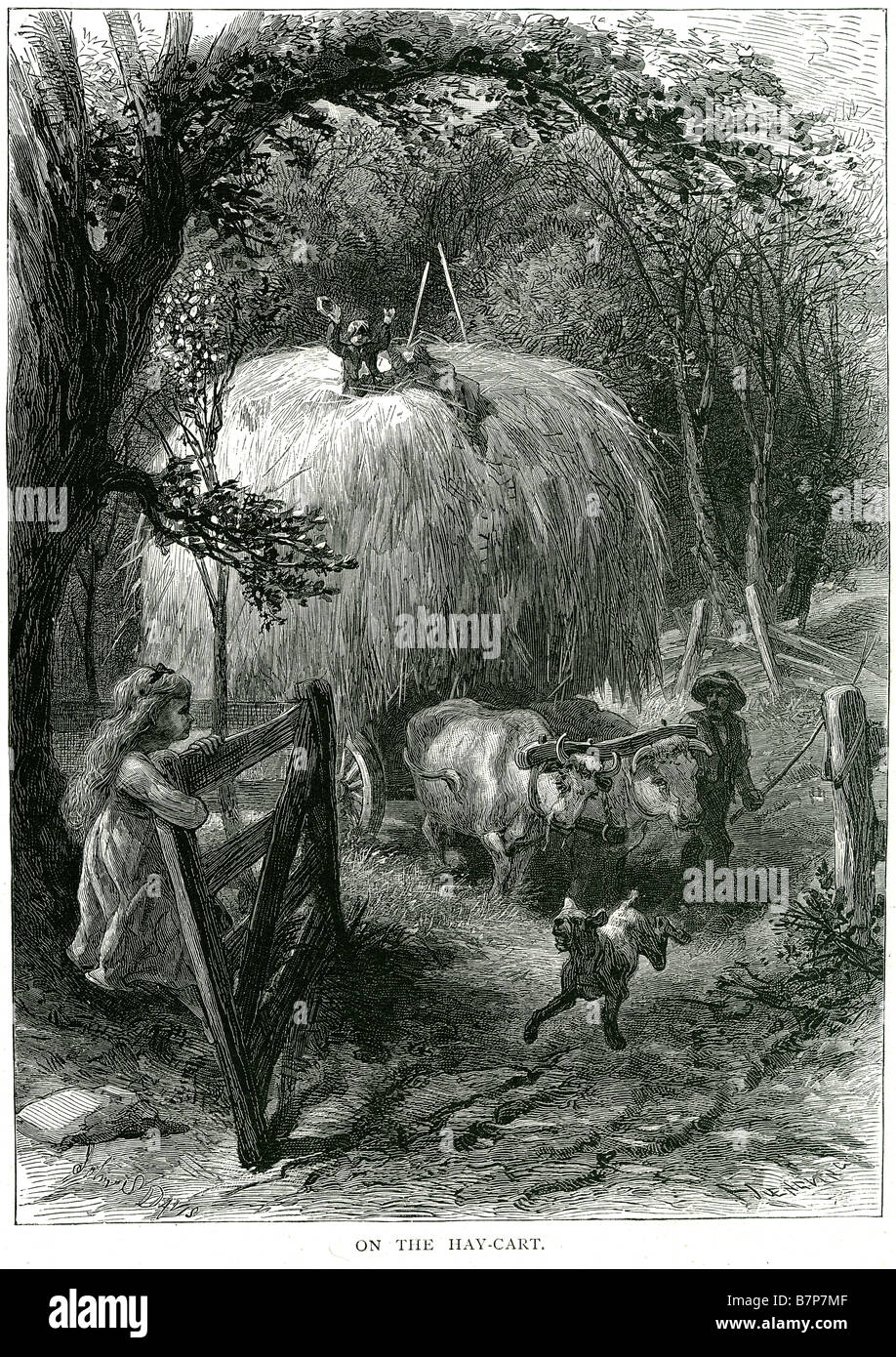 Fieno allevamento carrello bull porta lato paese cane alberi di lavoro raccolto farm foresta di vacca in legno famiglia di fango Foto Stock