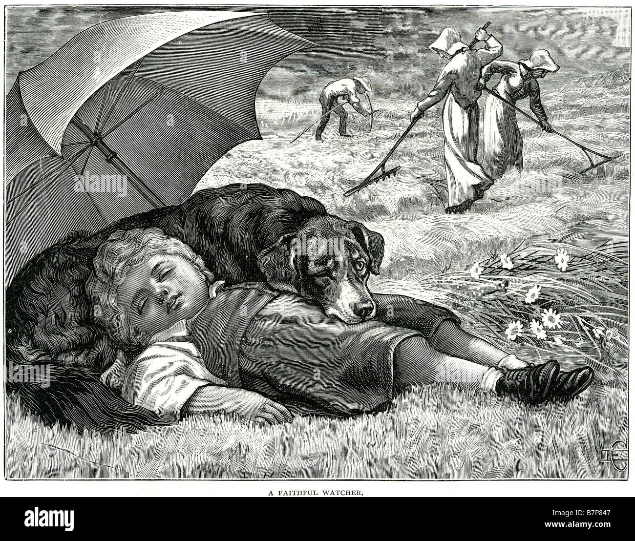 Fidato cane watcher bambino dorme raccolto sul campo zappa rastrello tradizionale lavoro abbigliamento canina pet boy girl campo azienda agricola Foto Stock